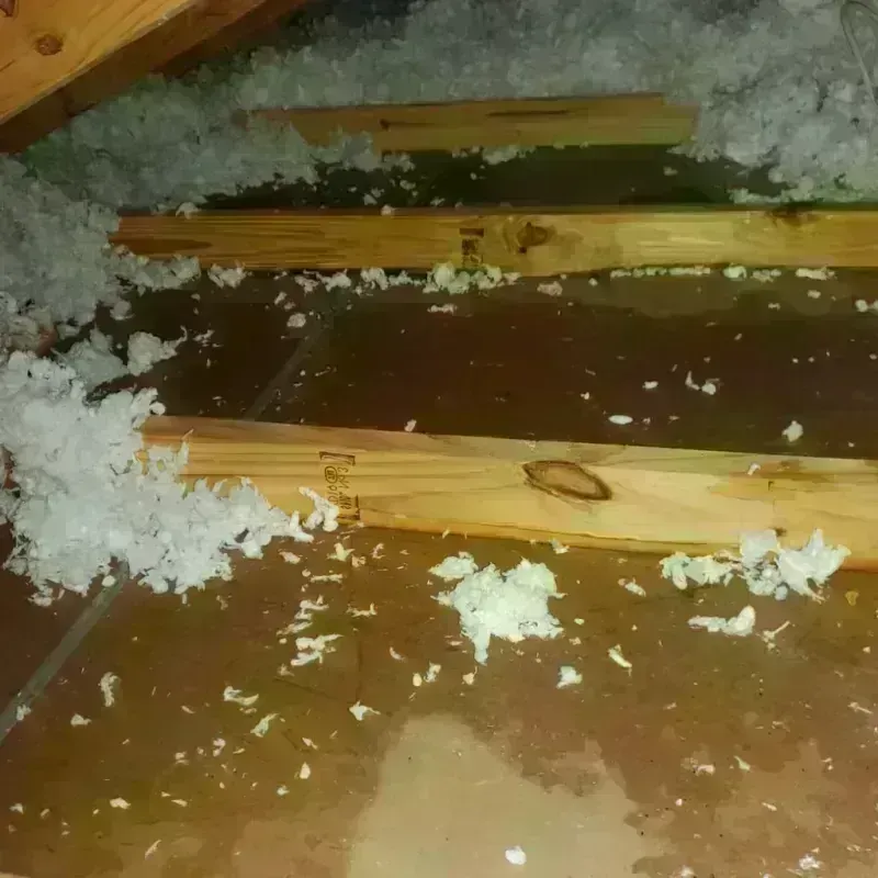 Attic Water Damage in Raven, VA