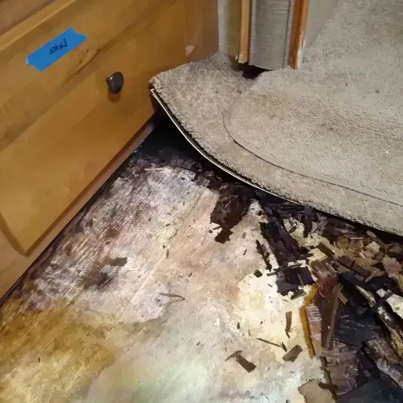 Wood Floor Water Damage in Raven, VA